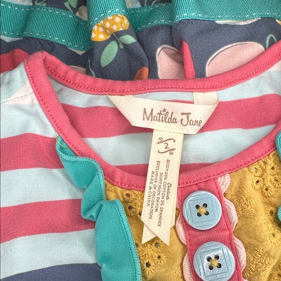 Matilda Jane Pink and Blue Striped Dress with Fruit design on skirt size 2 - Picture 4 of 5